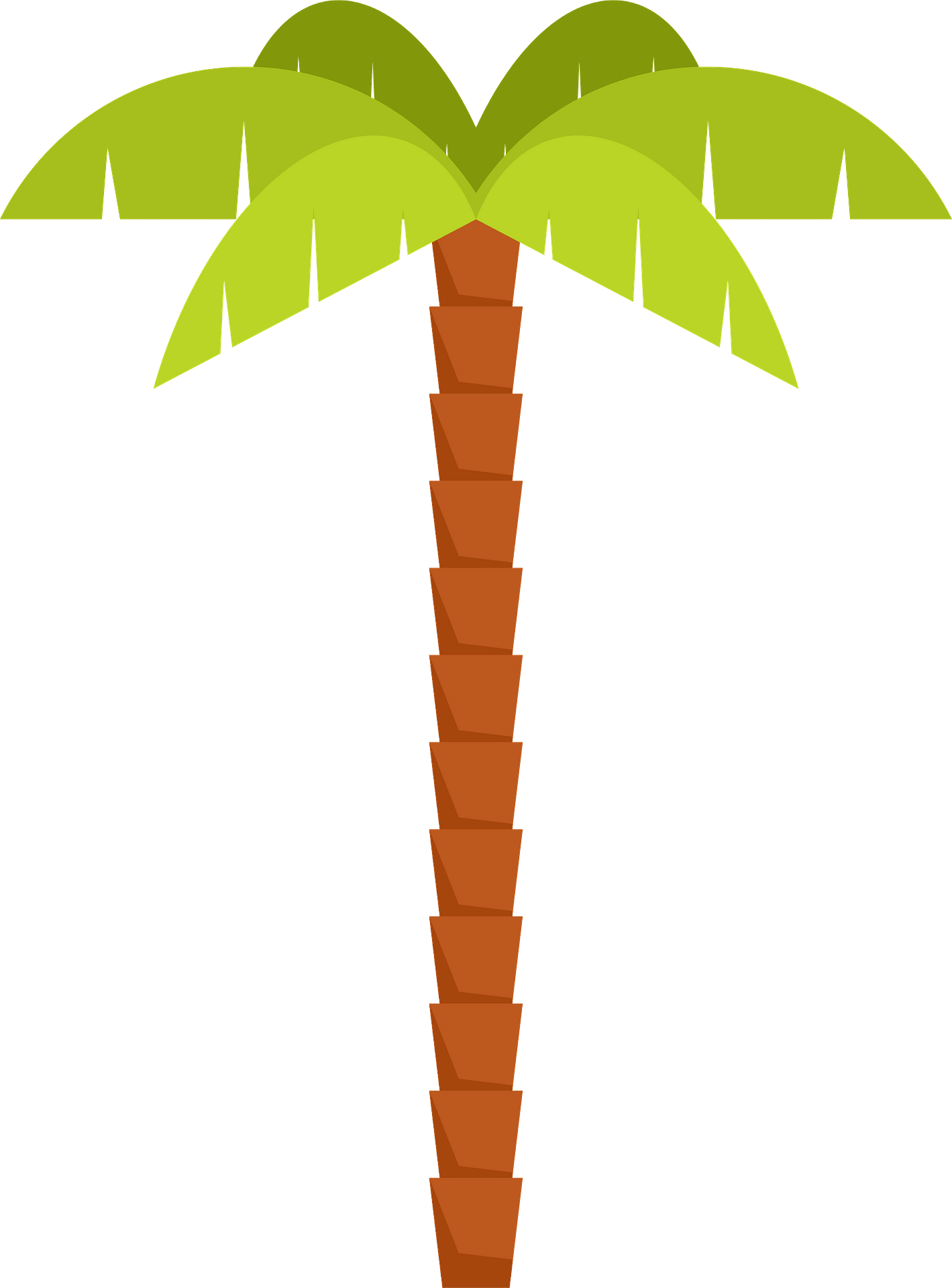 palm-tree-gallery-trees-clipart-2-clipart-library-clip-art-library