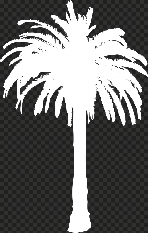 White silhouette of a palm tree with feathery fronds against a transparent checkered background.