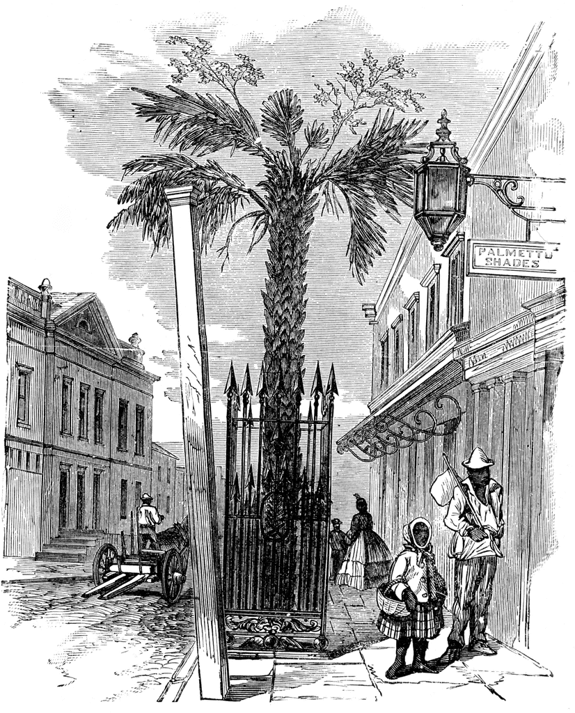 Historic street scene with palm tree, ornate gate, horse-drawn cart, and 19th-century figures near a "Palmetto Shades" shop sign.