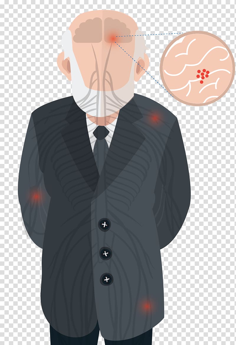 Neurological Inflammation in Aging: Visual Guide to Nerve Pathways and Lesions