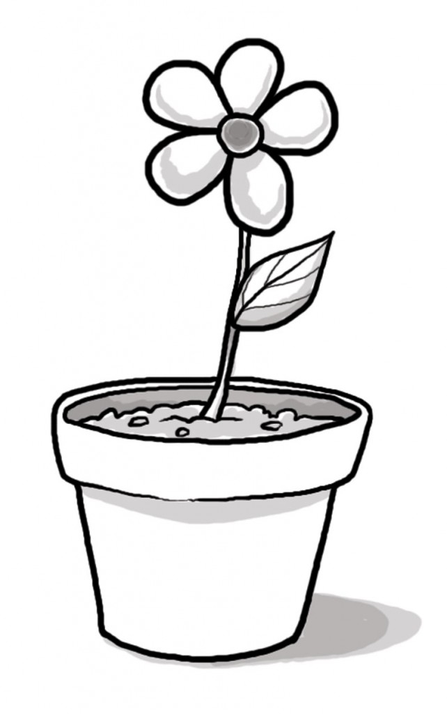 Simple black-and-white line drawing of a five-petaled flower in a potted plant with one leaf and soil texture.
