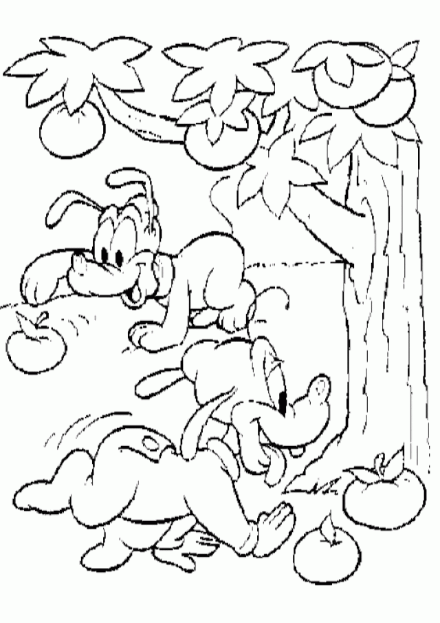 Pluto the dog playfully chasing apples under a fruit tree in a classic cartoon line-art style.