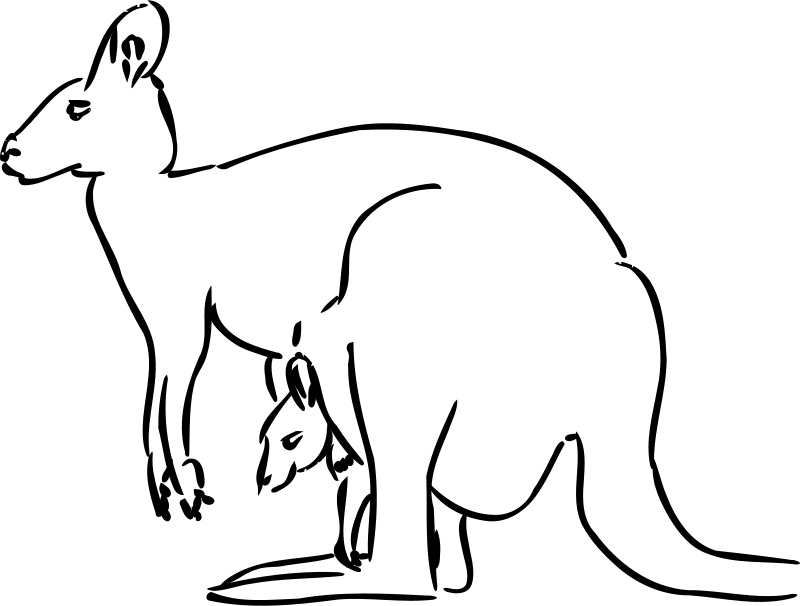 Blank Image Placeholder - Default Visual Asset