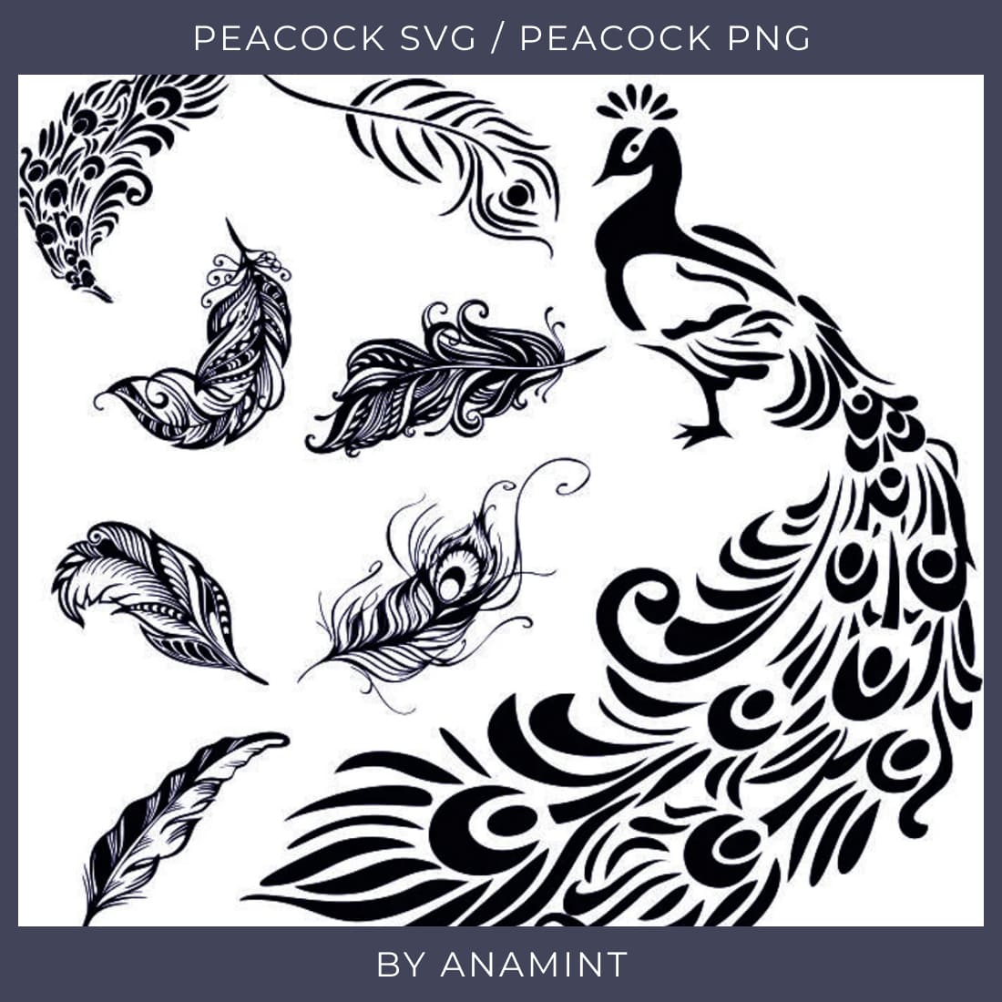Stylized black-and-white peacock illustration with ornate feathers and tribal patterns by Anamint.