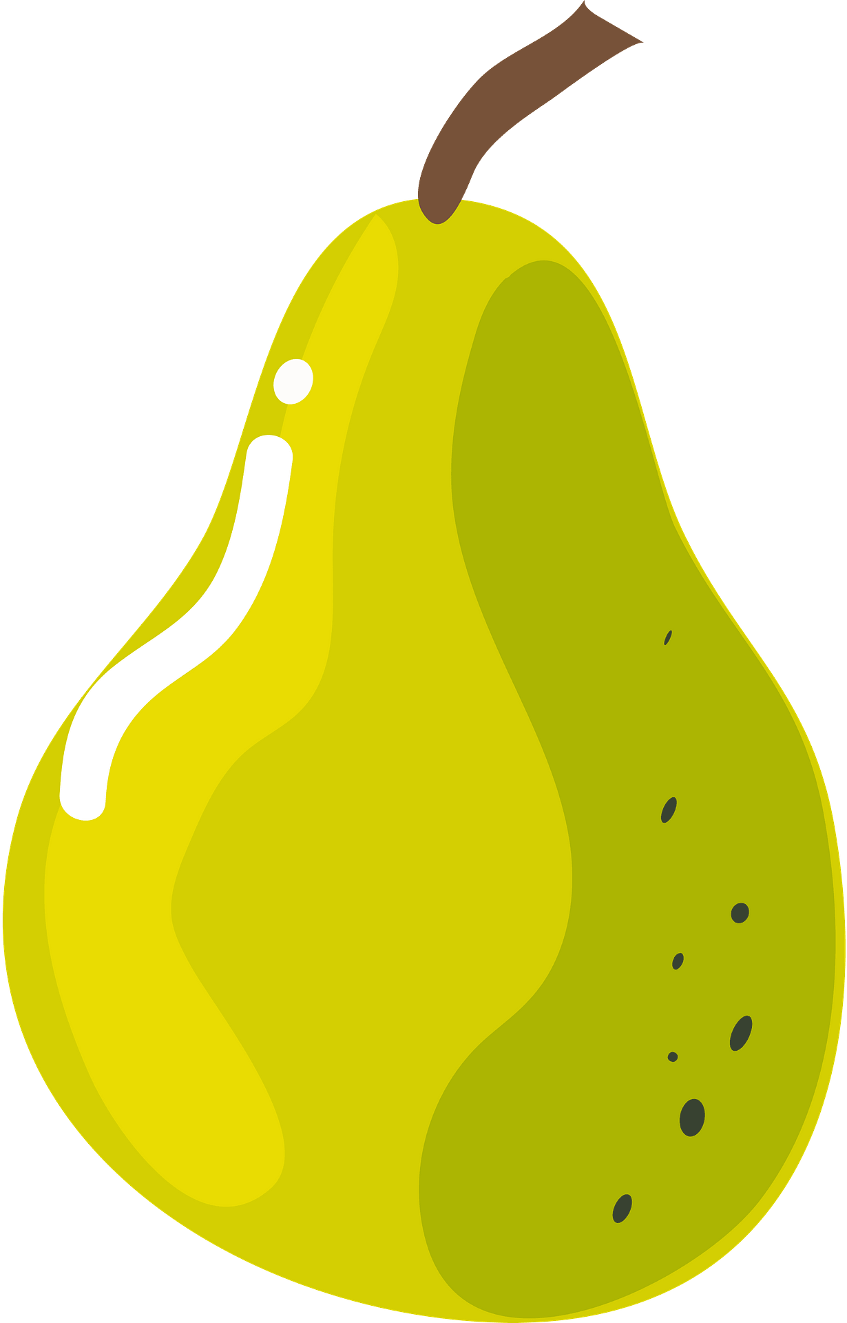 Free Pears Cliparts, Download Free Pears Cliparts png images, Free ...
