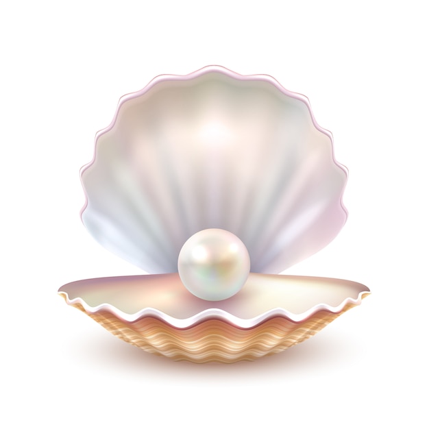 Pearl in Oyster Shell - Symbol of Beauty, Rarity, and Natural Wonder