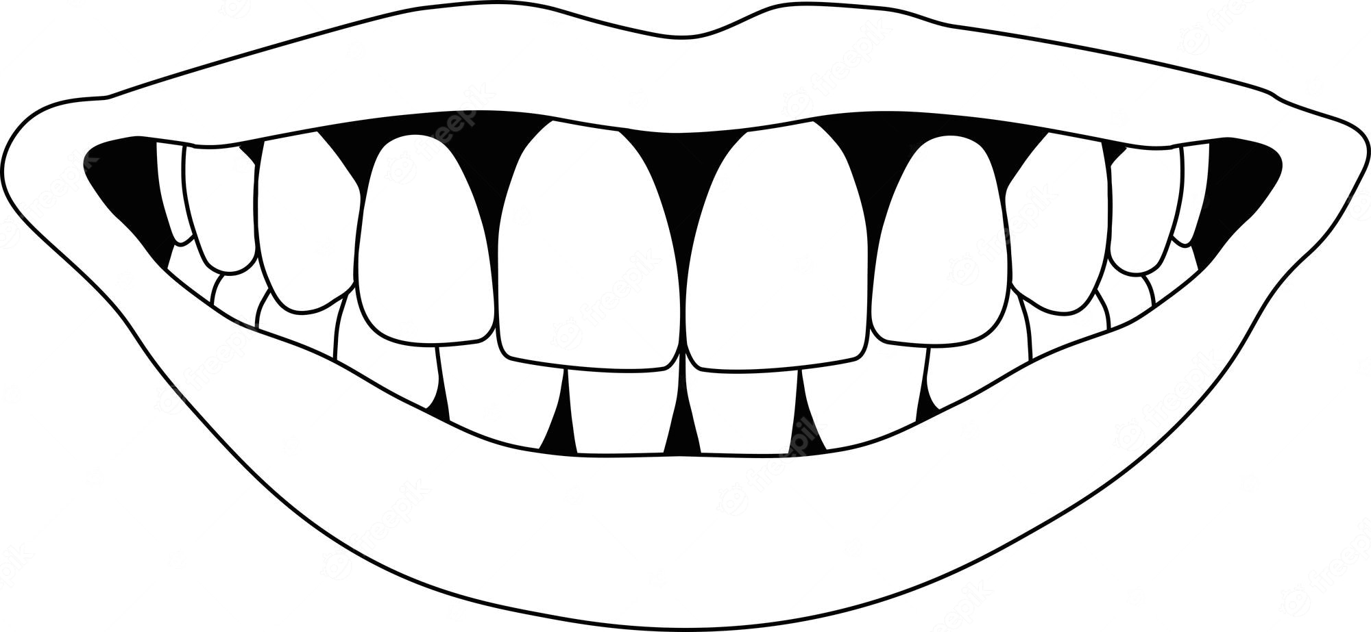 perfect teeths - Clip Art Library