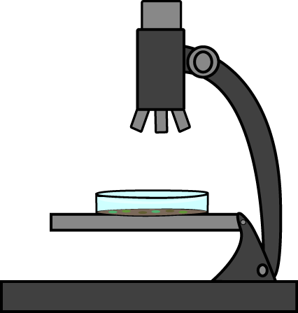 Simplified illustration of a compound microscope with stage, objective lens, and eyepiece, viewing a petri dish sample.
