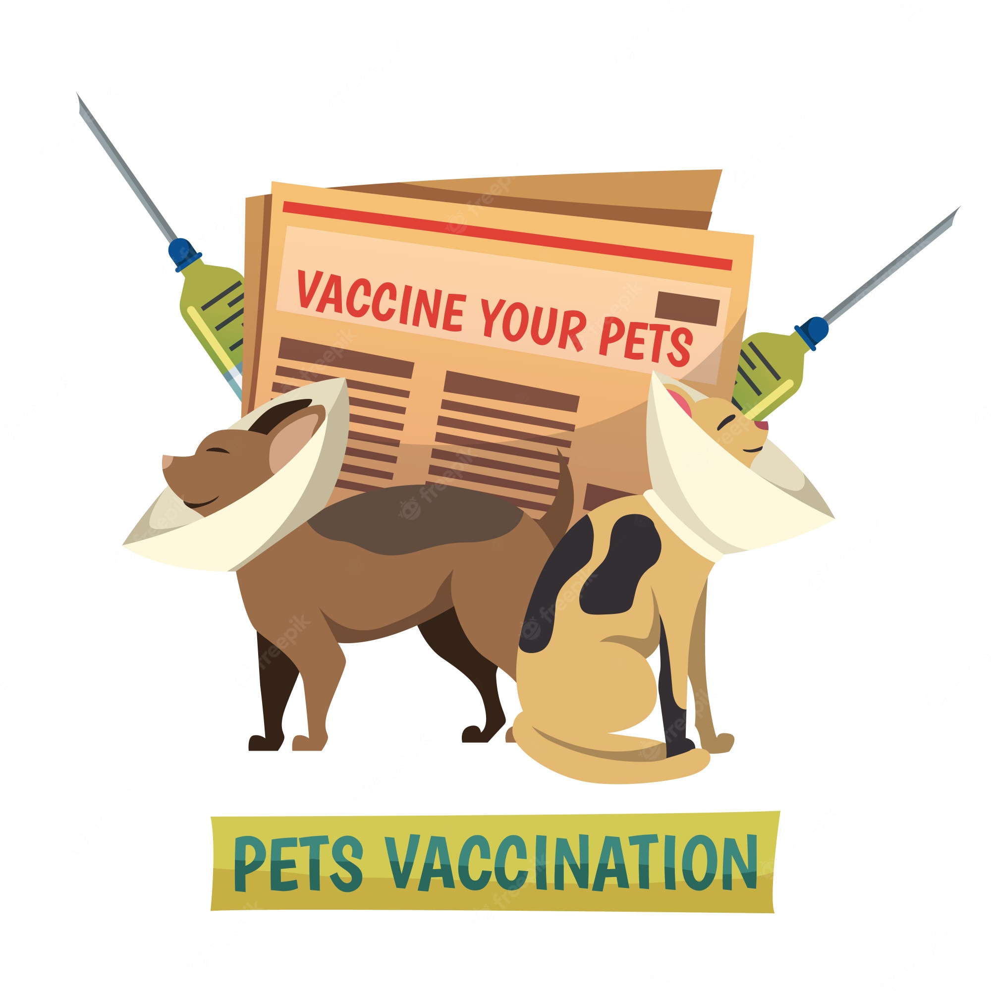 Pet Vaccination Guide: Keep Your Dog and Cat Healthy & Protected