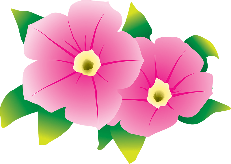 petunias - Clip Art Library