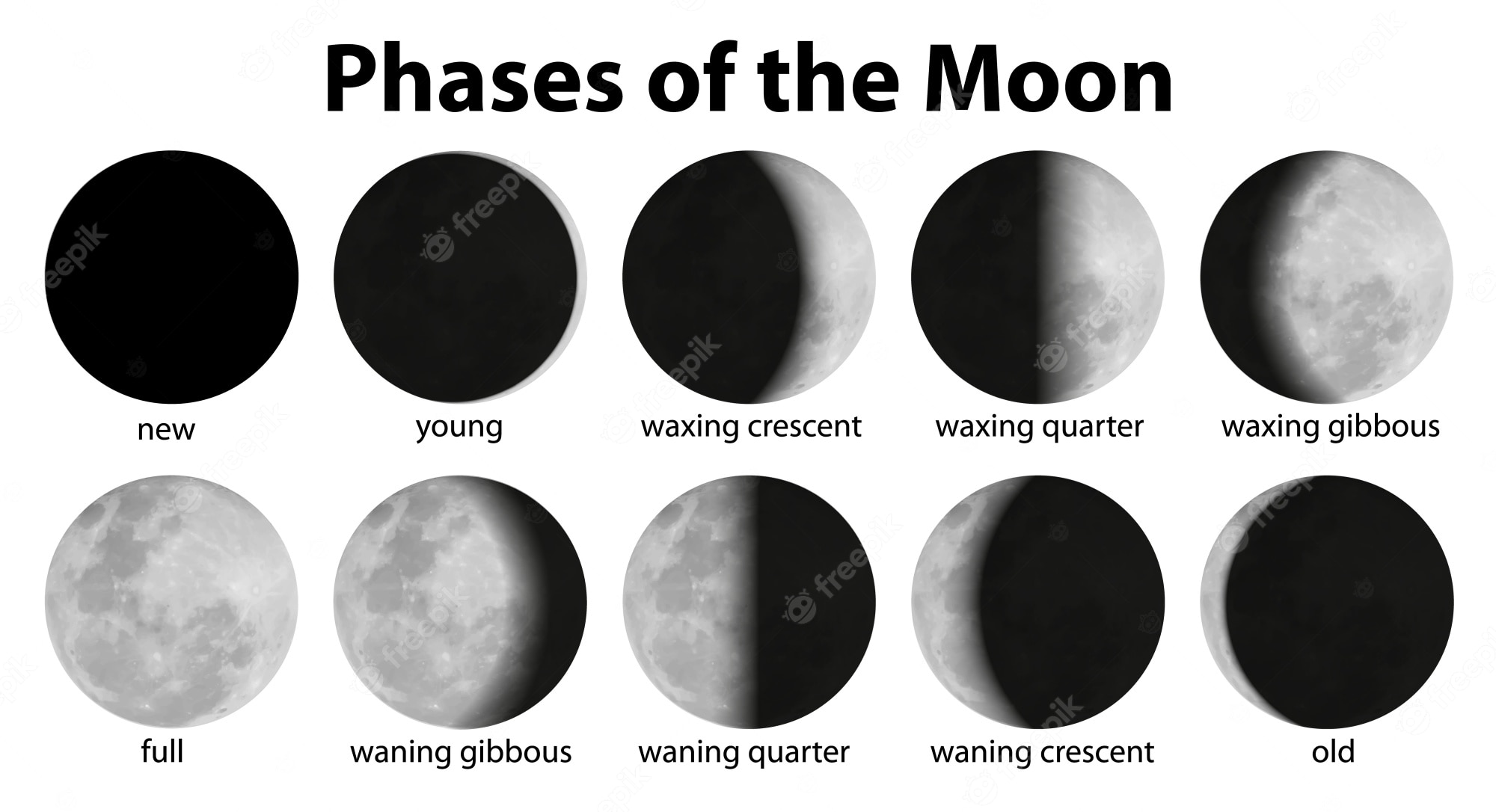 lunar-phases-explanation-design-talk