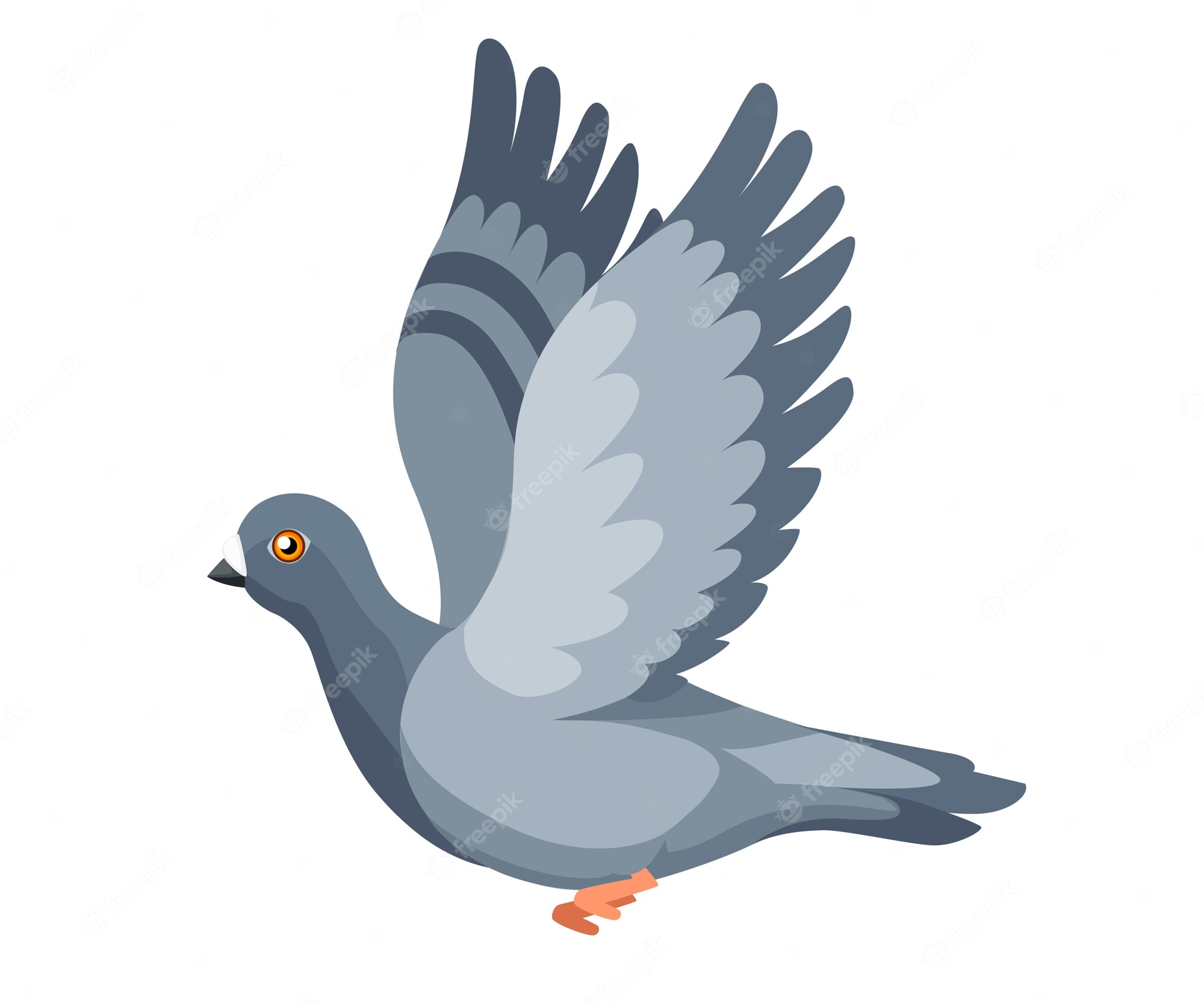 pigeons - Clip Art Library