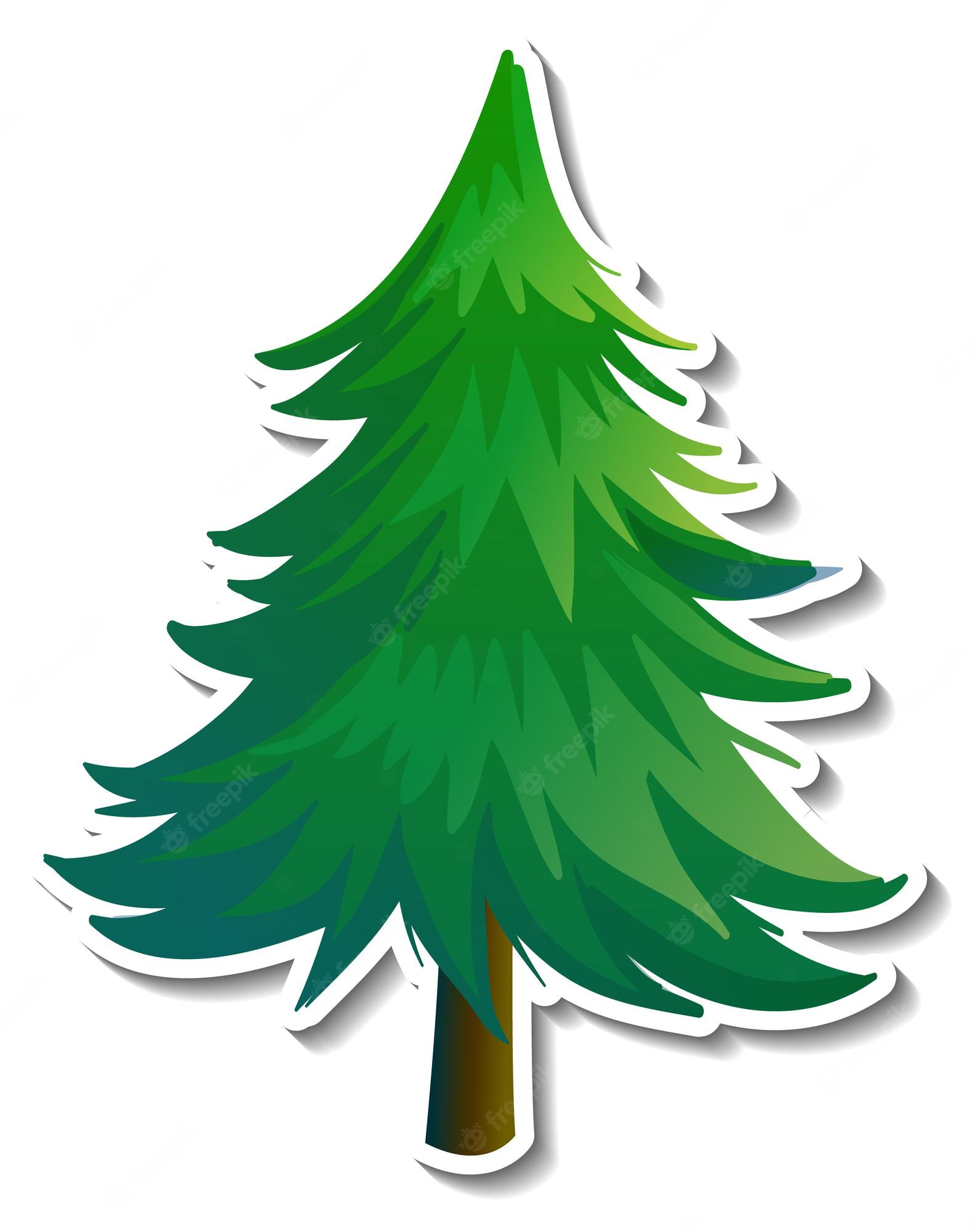 Watercolor Pine Tree Clip Art 13363437 PNG - Clip Art Library