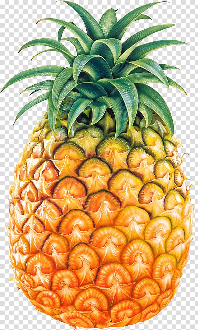 Free Pineapple Clipart Royalty Free Pearly Arts Clip Art Library