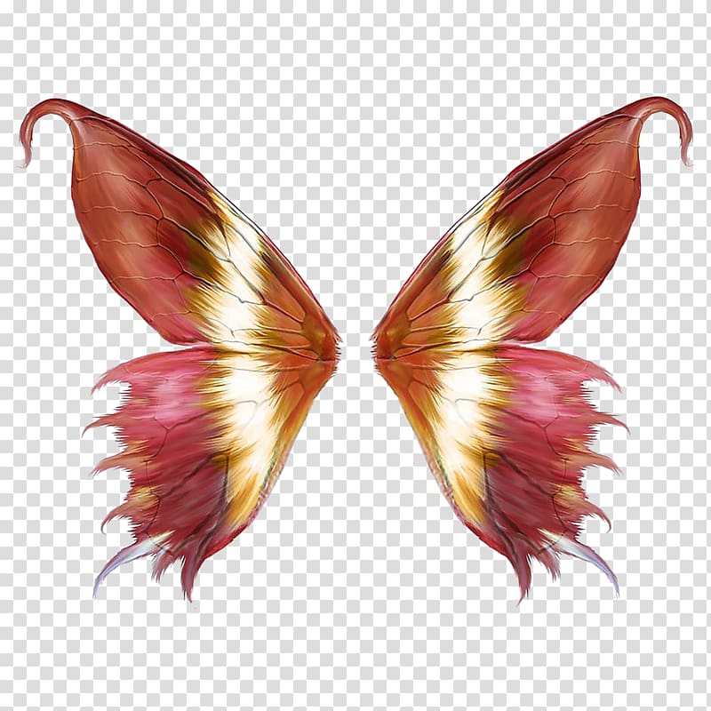 Fantasy fairy wings with red, gold, and white feathered textures on transparent background.