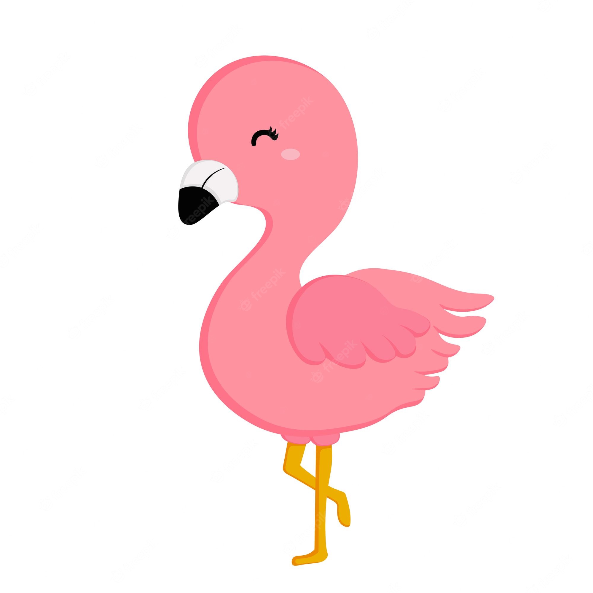 Lindo Flamingo Clipart Tropical Bird Clip Art Pink Flamingo Clipart