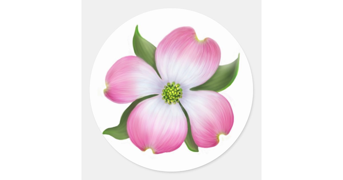 Pink Dogwood Flower Illustration - Botanical Art for Design & Print