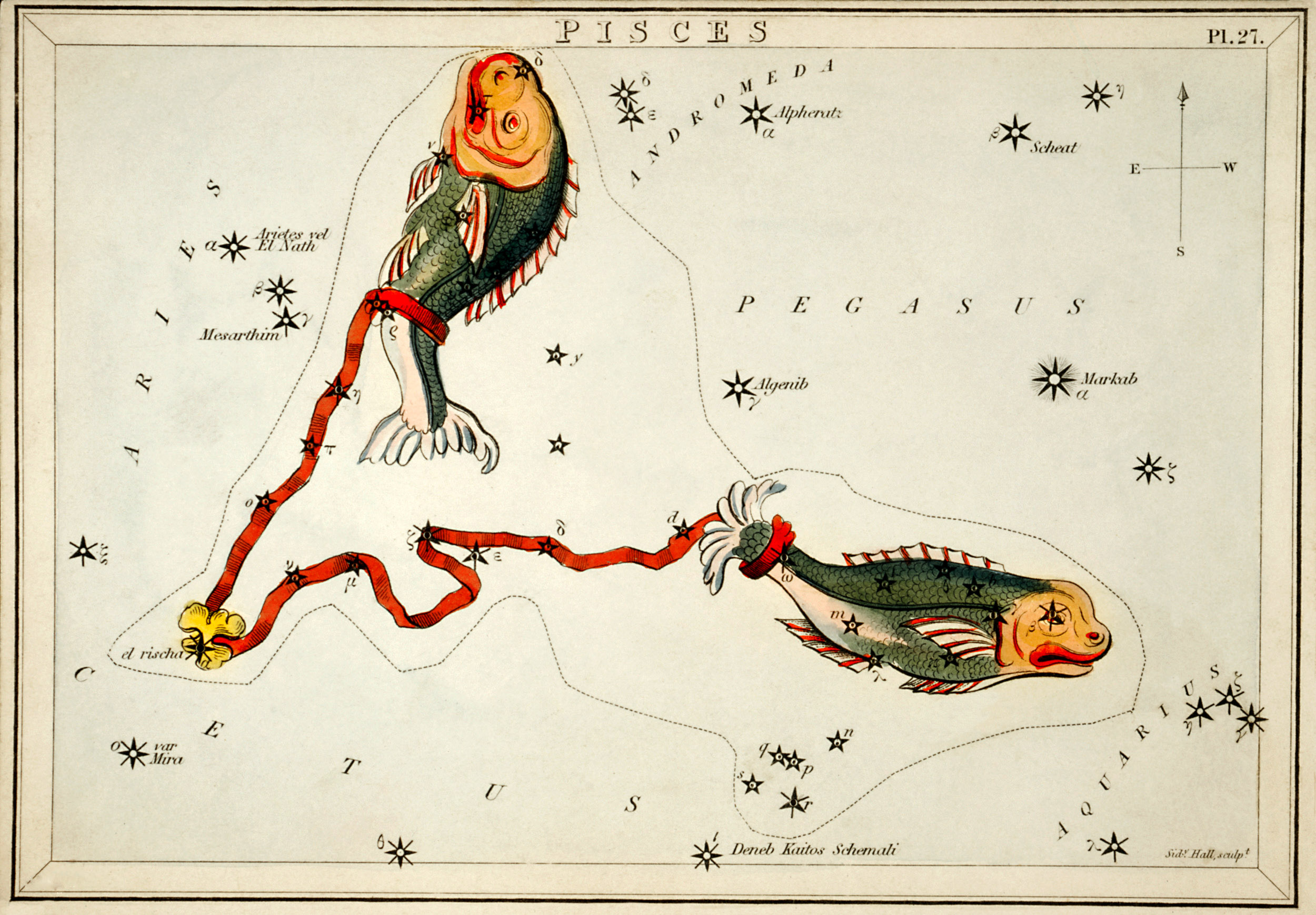 Pisces Constellation Map - 19th-Century Astronomical Illustration