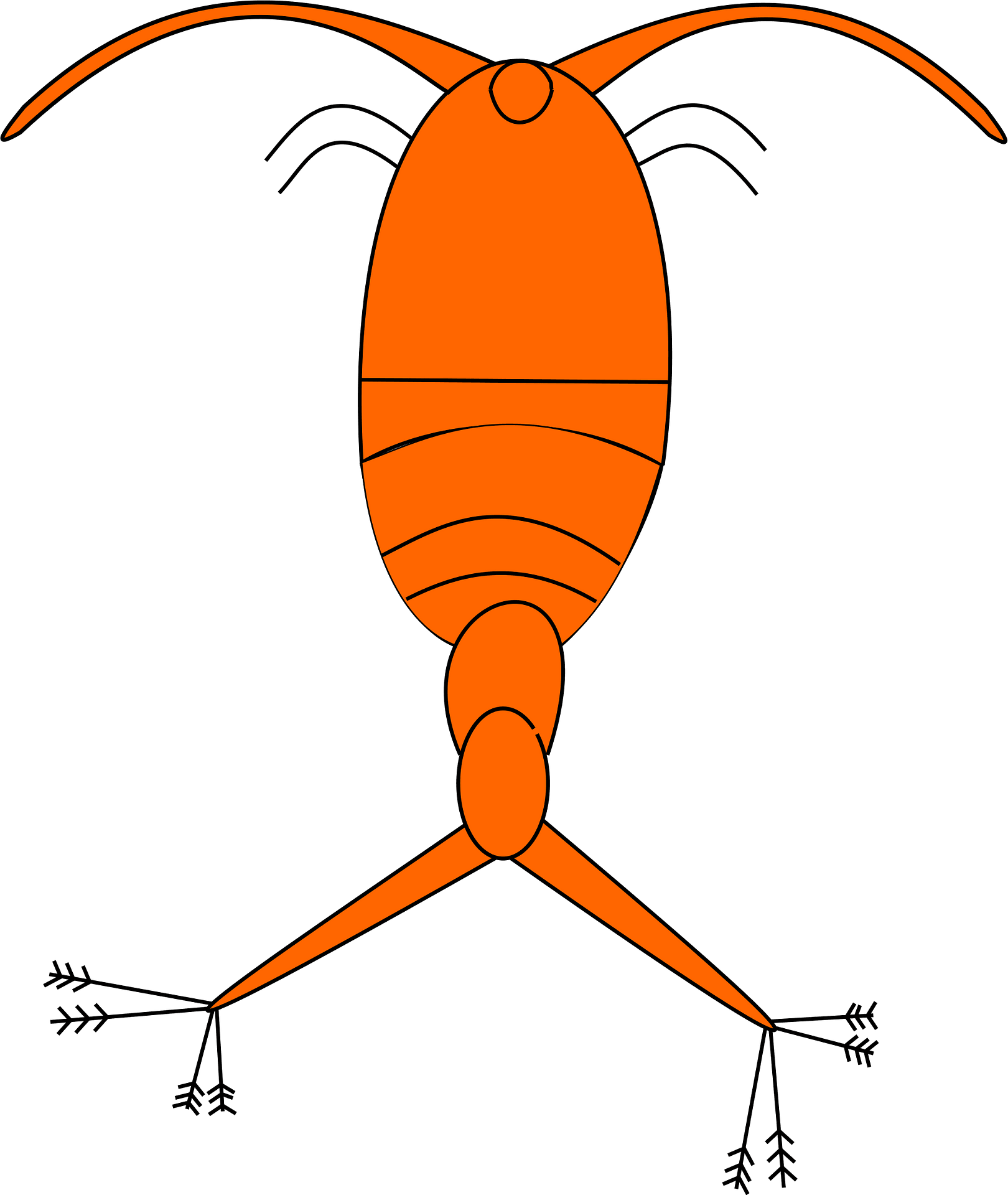 3795 Plankton Photos And Premium High Res Pictures Getty Images Clip Art Library 