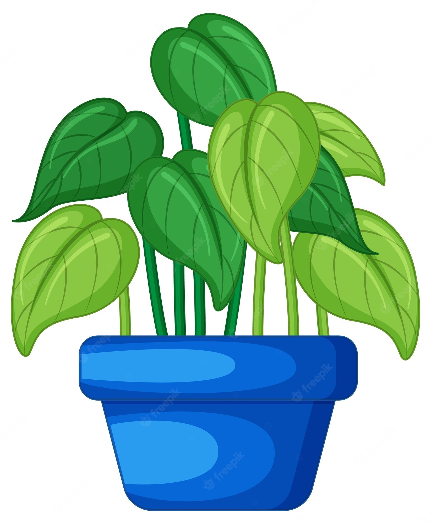 Plant Pot Cartoon 1308 107300 