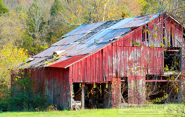 Weathered red barn with rusted metal roof, broken windows, and overgrown vines in a rural autumn setting.