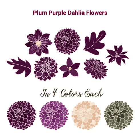 Plum purple dahlia flower illustrations in four color variations with leaf accents.
