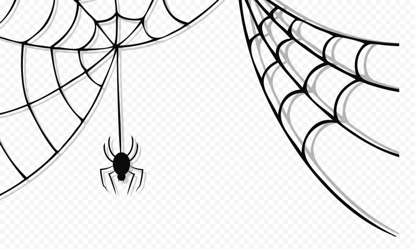 Black spider hanging from a detailed web on transparent background, stylized vector illustration.