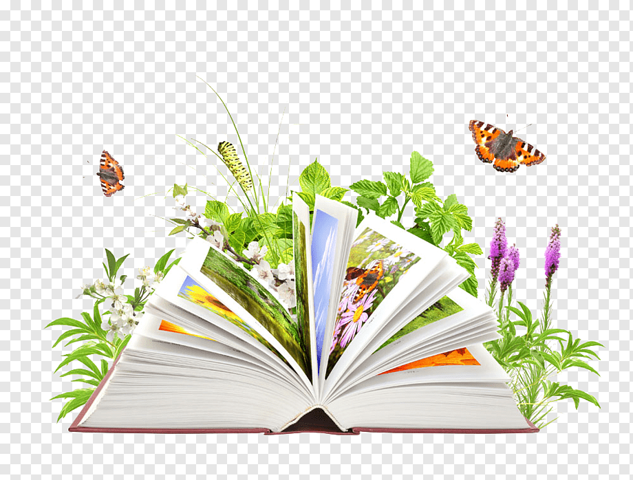 Nature-Inspired Learning: Discover the Beauty of Books and the Outdoors