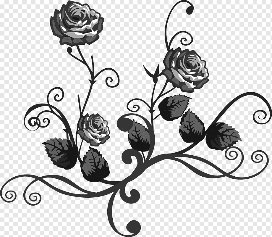 Silhouette Rose Frame Royalty Free SVG, Cliparts, Vectors, and Stock  Illustration. Image 14030827.