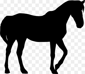 Black silhouette of a standing horse in profile against transparent background.