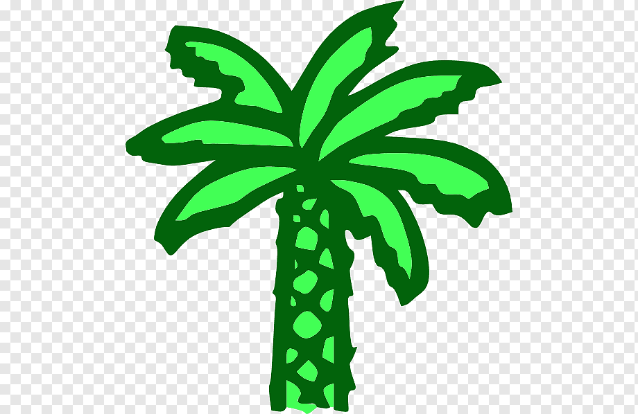 Stylized green palm tree illustration with textured trunk and fronds on transparent background.