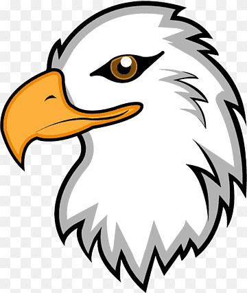 Bald Eagle Clipart - Free Vector Illustration for Educational & Design Use