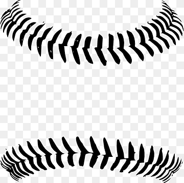 Black silhouette of baseball stitching on transparent background, showing two curved seam lines.