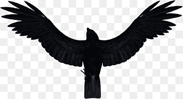 Black silhouette of a bird, likely a crow or raven, with wings fully spread against a transparent background.