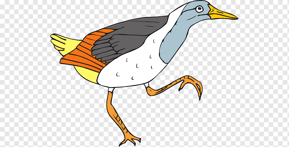 Colorful cartoon illustration of a running bird with blue head, yellow beak, white belly, gray wings, and orange legs.