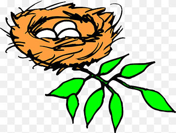 A hand-drawn orange bird’s nest with three white eggs, perched on a green leafy branch against a transparent background.