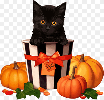Black kitten peeking from a striped Halloween bucket with pumpkins and candy around.