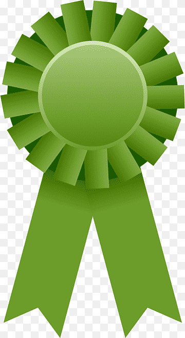 Green award ribbon with circular center and two hanging tails, symbolizing achievement or recognition.
