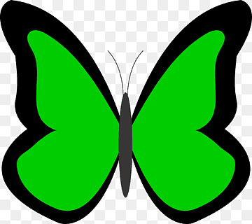 Bright green butterfly with bold black wing outlines, stylized symmetrical design on transparent background.