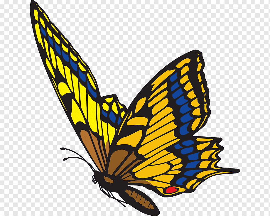 Colorful Butterfly Illustration - Free PNG Download for Design Projects