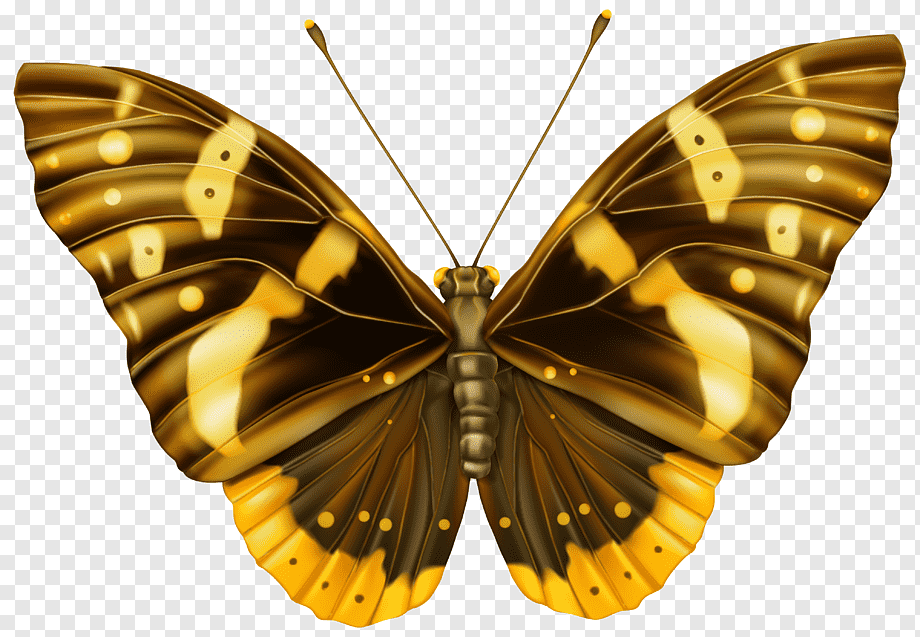 Golden-brown butterfly with yellow spots and intricate wing patterns, wings fully spread against transparent background.