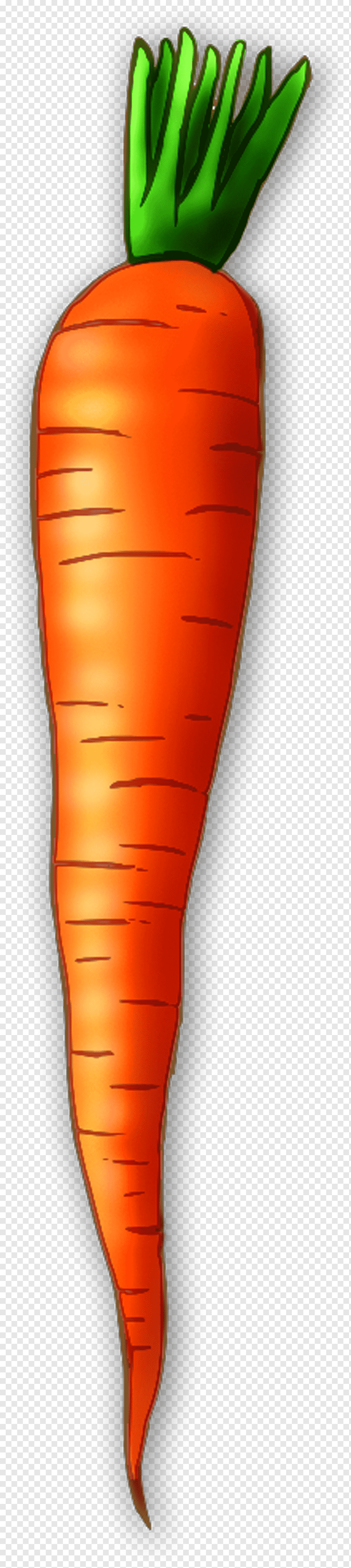 Free Clipart Carrot Cartoon Pictures Of Carrots PNG Image With - Clip ...