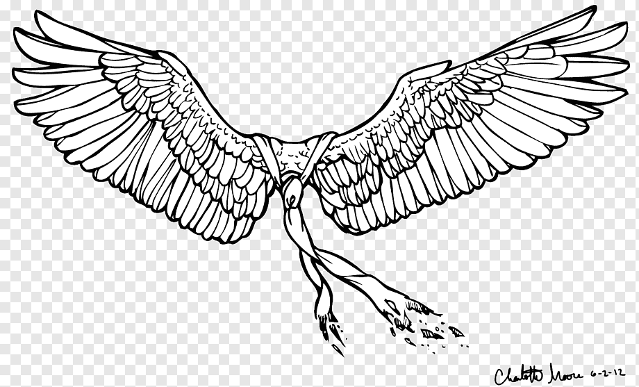 Black-and-white line drawing of a winged figure with outstretched wings and trailing ribbons, signed Chelotte Moore 6-2-12.