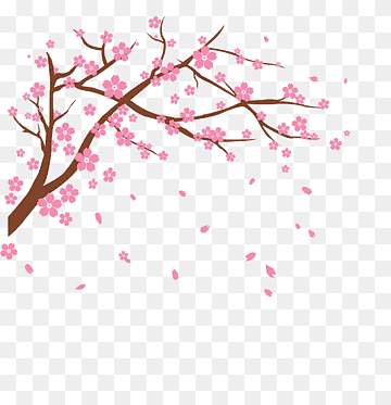 Cherry Blossom Branch PNG - Free Transparent Clipart for Spring Designs