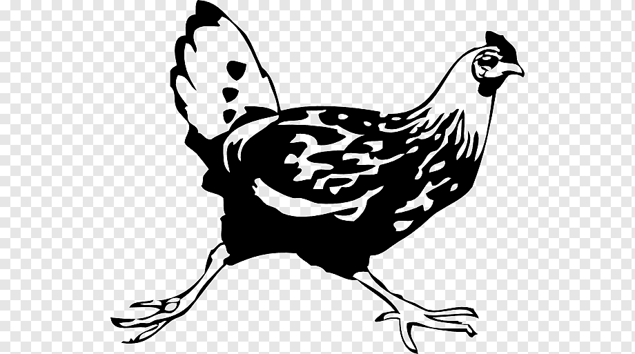 Black-and-white stylized illustration of a running hen with patterned feathers and raised tail.