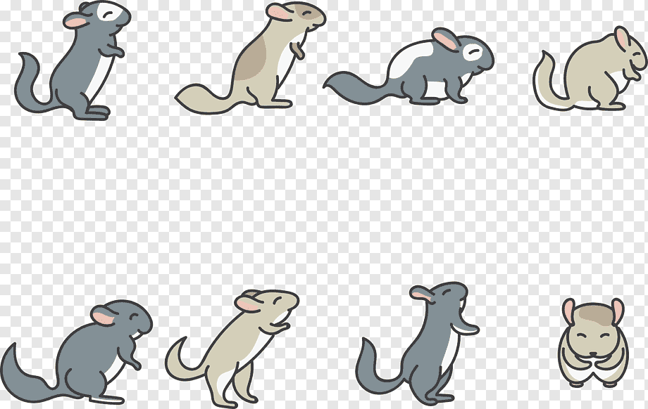 Eight cartoon chinchillas in various playful poses on transparent background