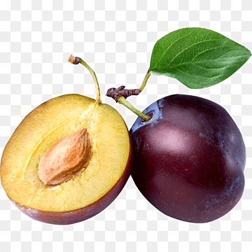 Fresh Plum Close-Up - Vibrant Fruit Photography for Recipes & Nutrition
