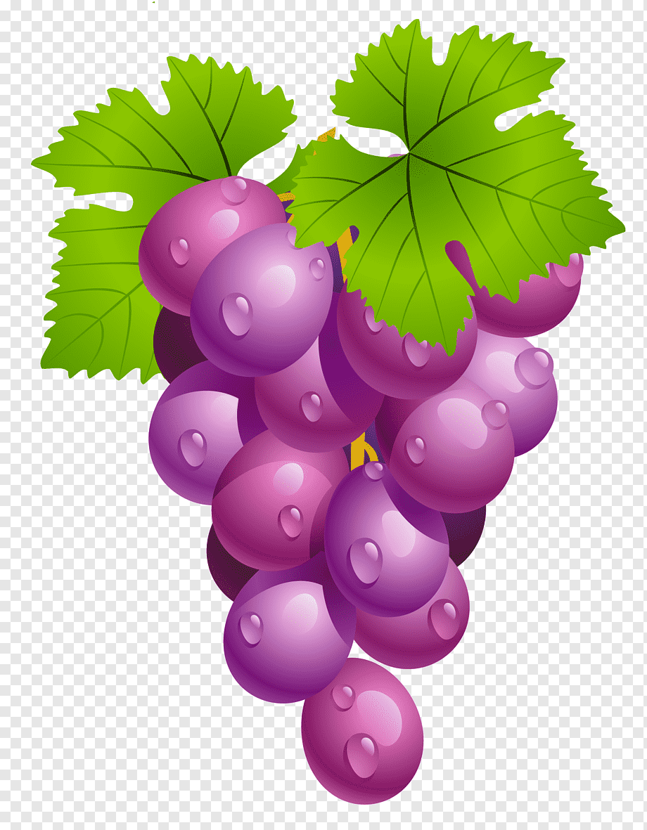 Fresh Purple Grapes with Dew - High-Quality Illustration for Food & Health Content