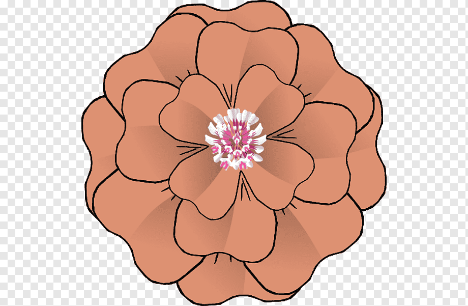 Illustrated terracotta-colored flower with layered petals and a white-pink center on transparent background.