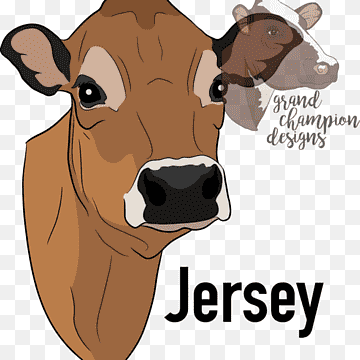 Illustration of a Jersey cow head with brown coat, white muzzle, and expressive eyes; logo includes "Jersey" text and "grand champion designs".
